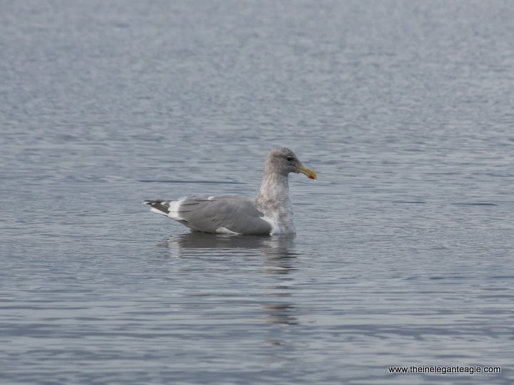 [ambition+and+overambition+01_Jim+Dubois.jpg]