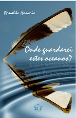Capa de "ONDE GUARDAREI ESTES OCEANOS?"  (Editora CBJE, 2008)