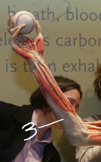 [Bodies23_resize.jpg]