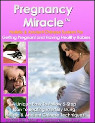 Your Pregnancy Miracle