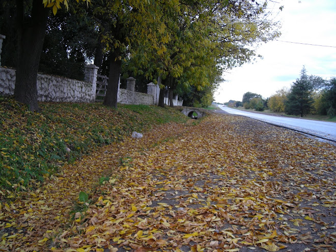 Otoño en Yocsina - Córdoba