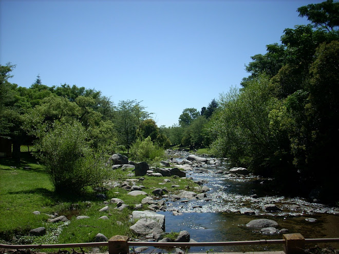 Rio Paraje "Mi Hogar" Est. sta Catalina