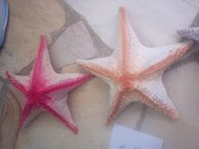 estrelas do Mar artificiais coloridas