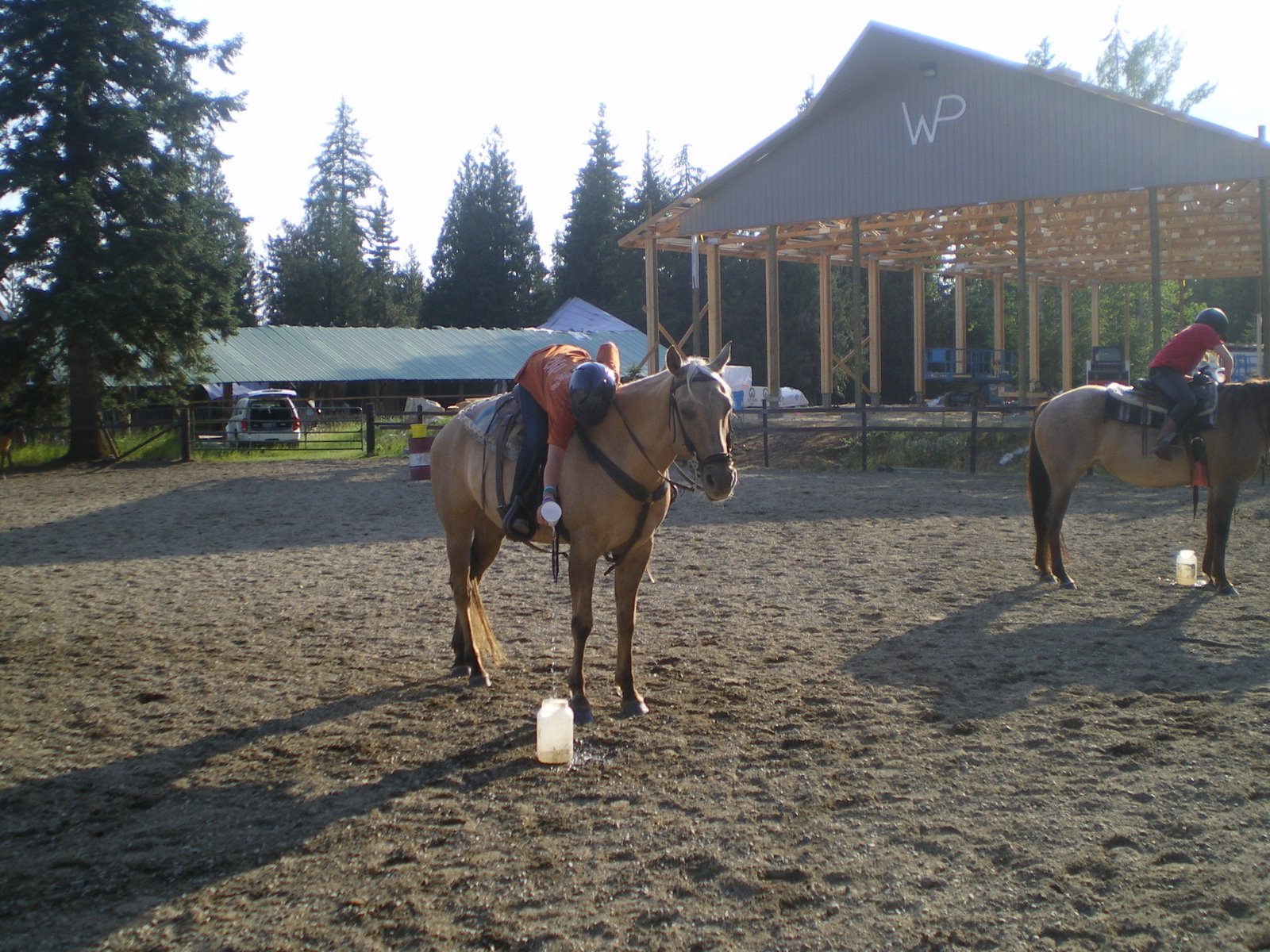 [File0170.JPG]