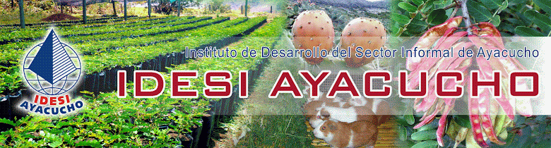 Sector Artesanía - IDESI Ayacucho