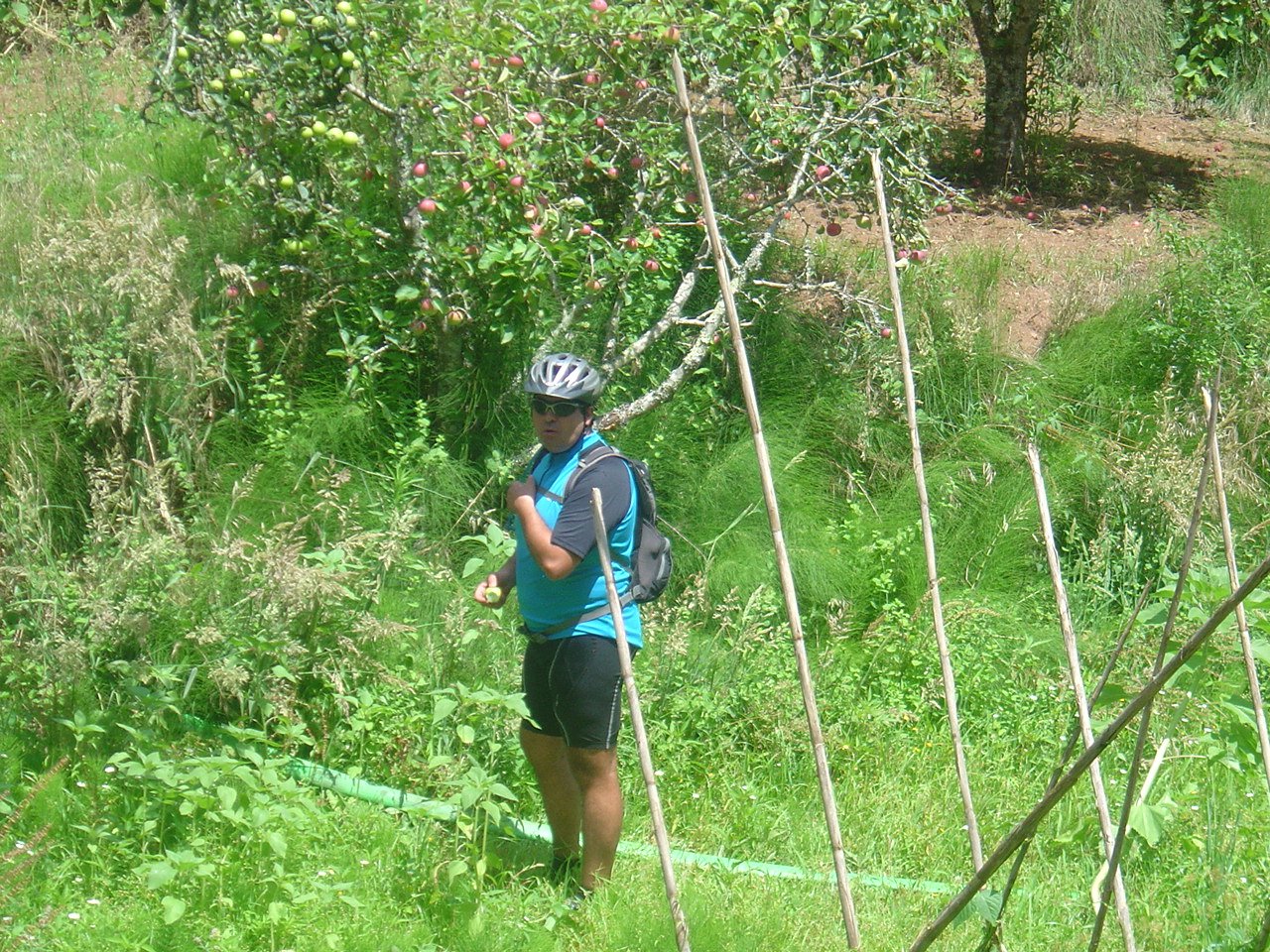 [DSC05641.JPG]