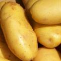 [potatoes.jpeg]