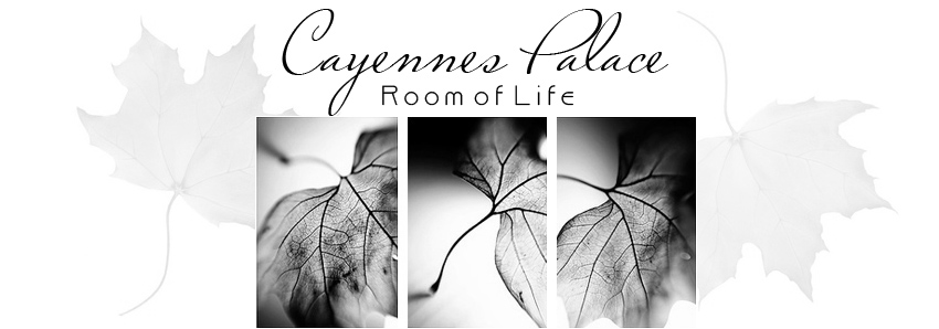 Cayennes Palace, A room of life