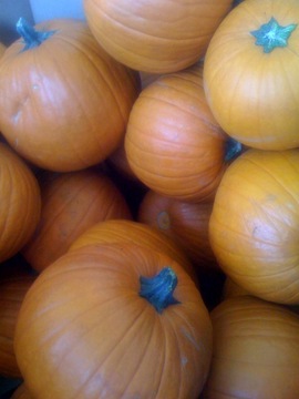 [Fall+Decor+-+pumpkins.jpg]