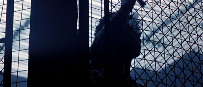 [wolverine_kooi_2_web.jpg]