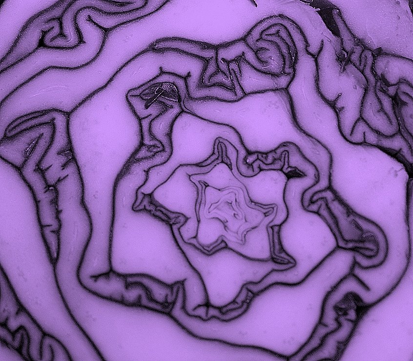 [fractal+3.JPG]
