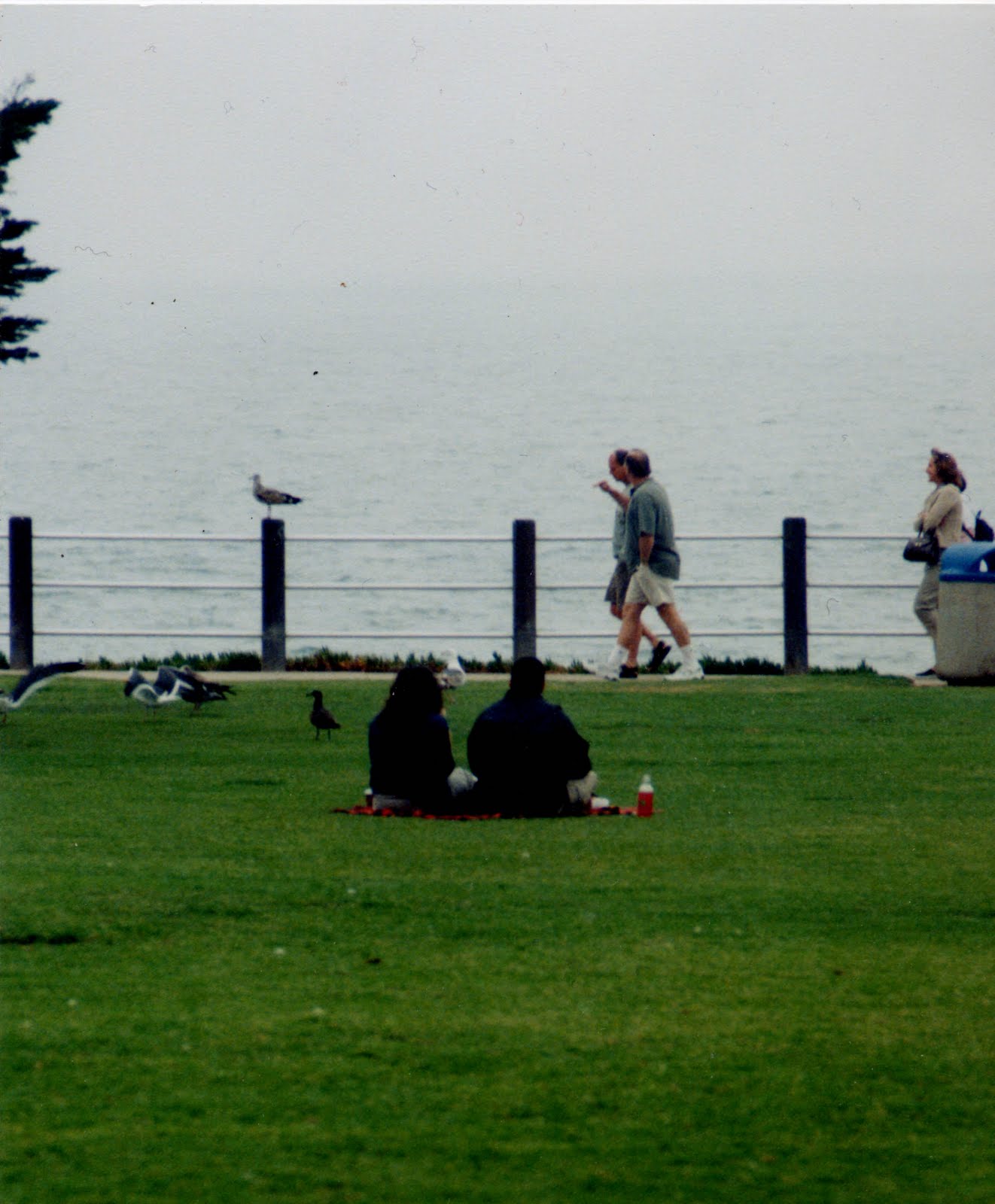 Codeine And Energy Drinks Codeine And Energy Drinks