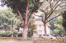 IOA formerly at Jalan Air Itam