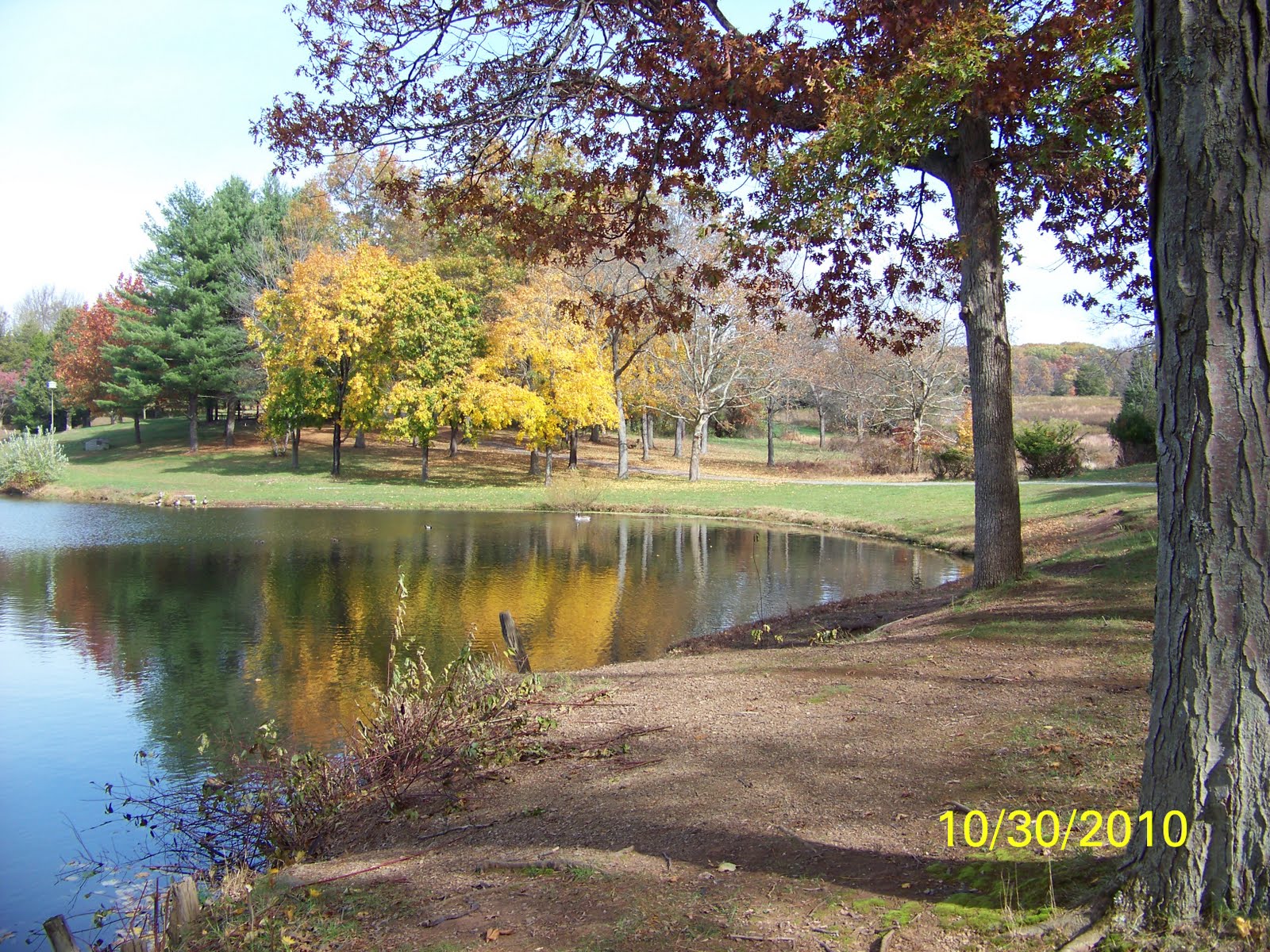 Up. Happy Hallowe'en!