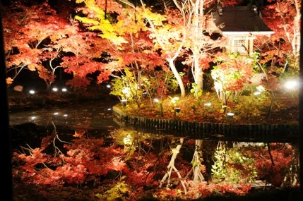 夜更かしウォーカーのフォト日記 本土寺の紅葉とライトアップ 松戸市