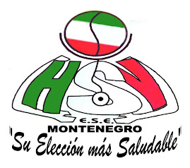 Hospital San Vicente E.S.E.