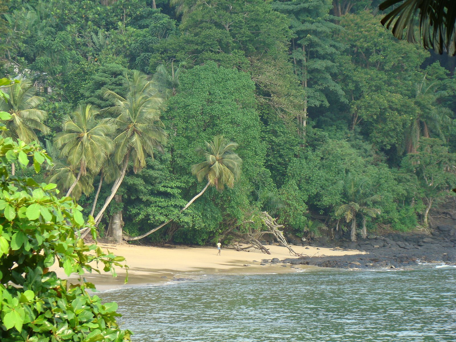 [CSDSC00806.JPG]