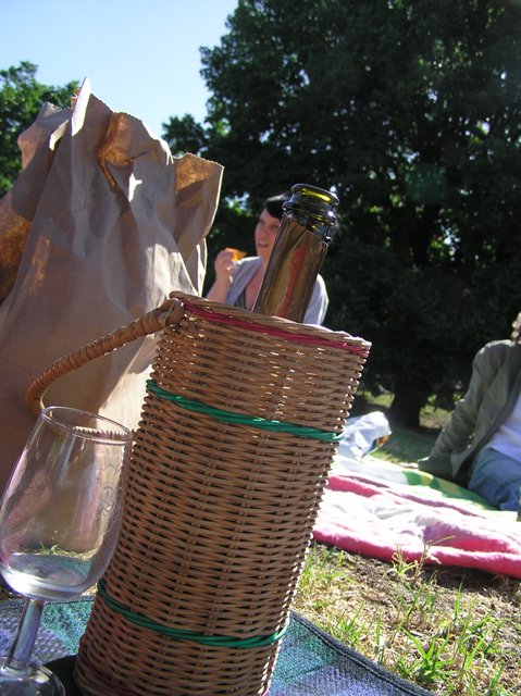 The picnic...