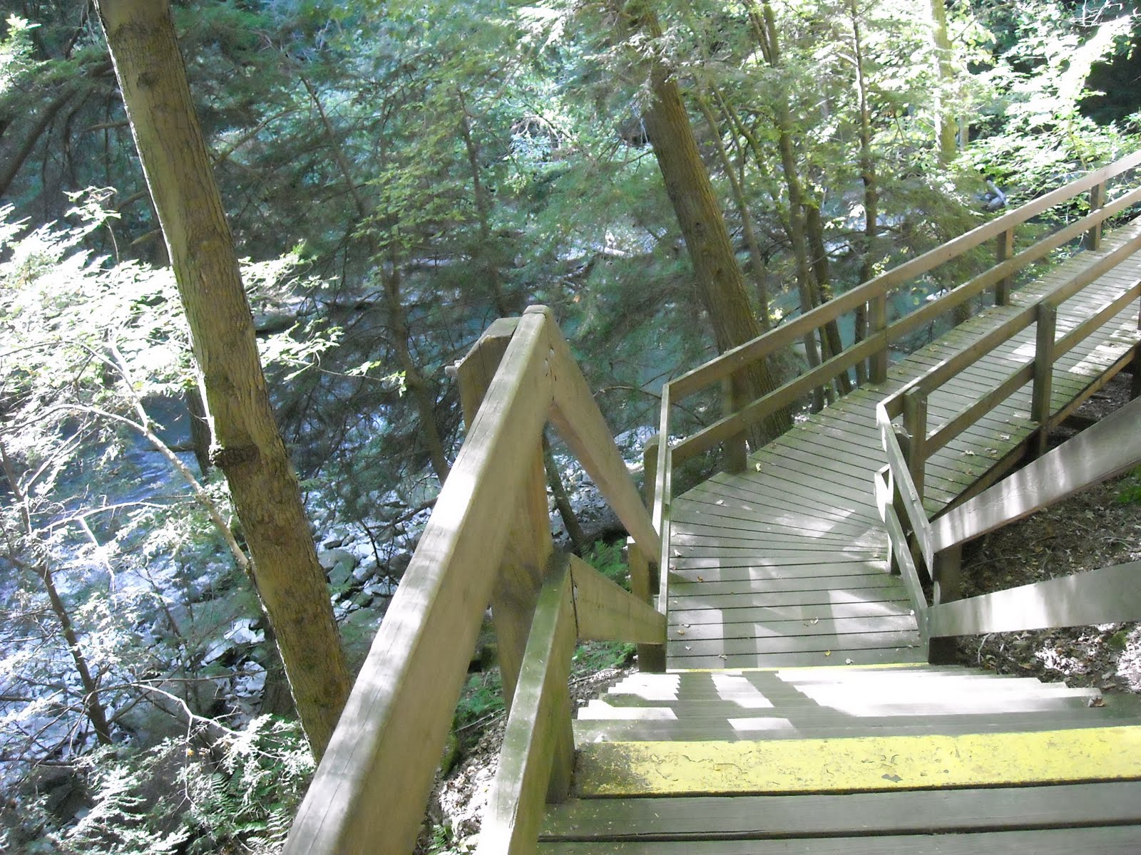 [boardwalk+steps.JPG]