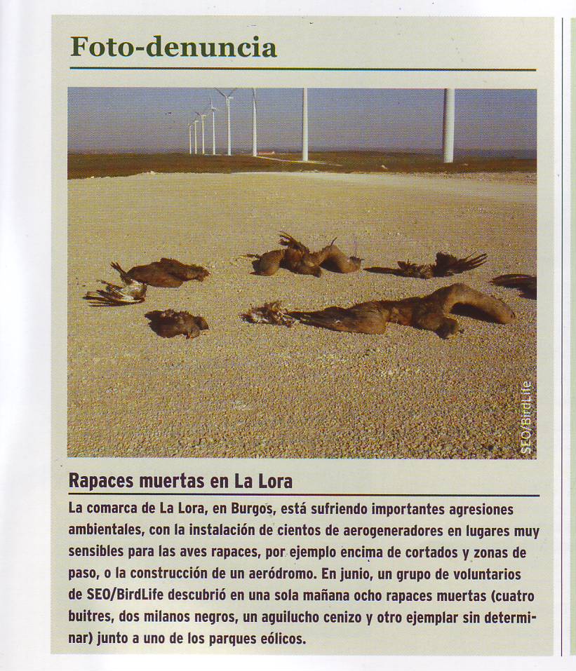[montiano.JPG]
