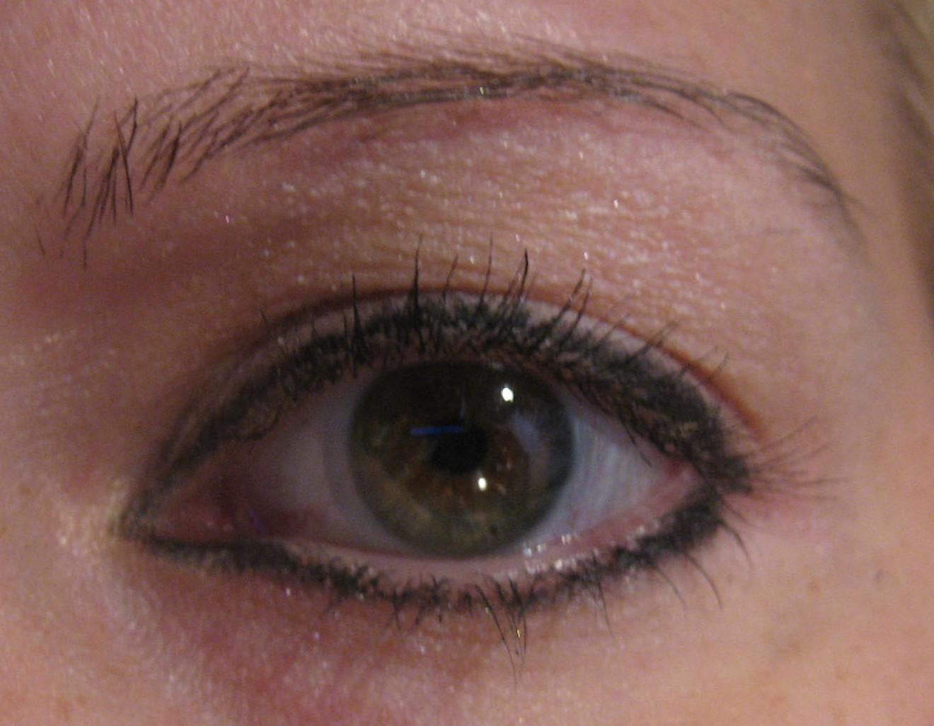 [IMG_6642.JPG]