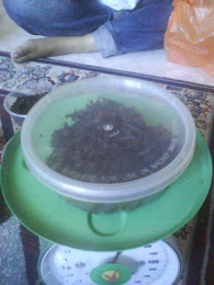 Serunding/rendang cendawan