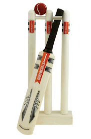 Skyler Senior Set Plastic Cricket Kit Bat Size 3 For Kids