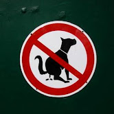 Todos los dimes y diretes durante las elecciones...