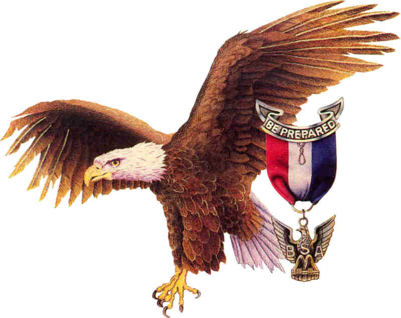 Labels: Eagle Scout