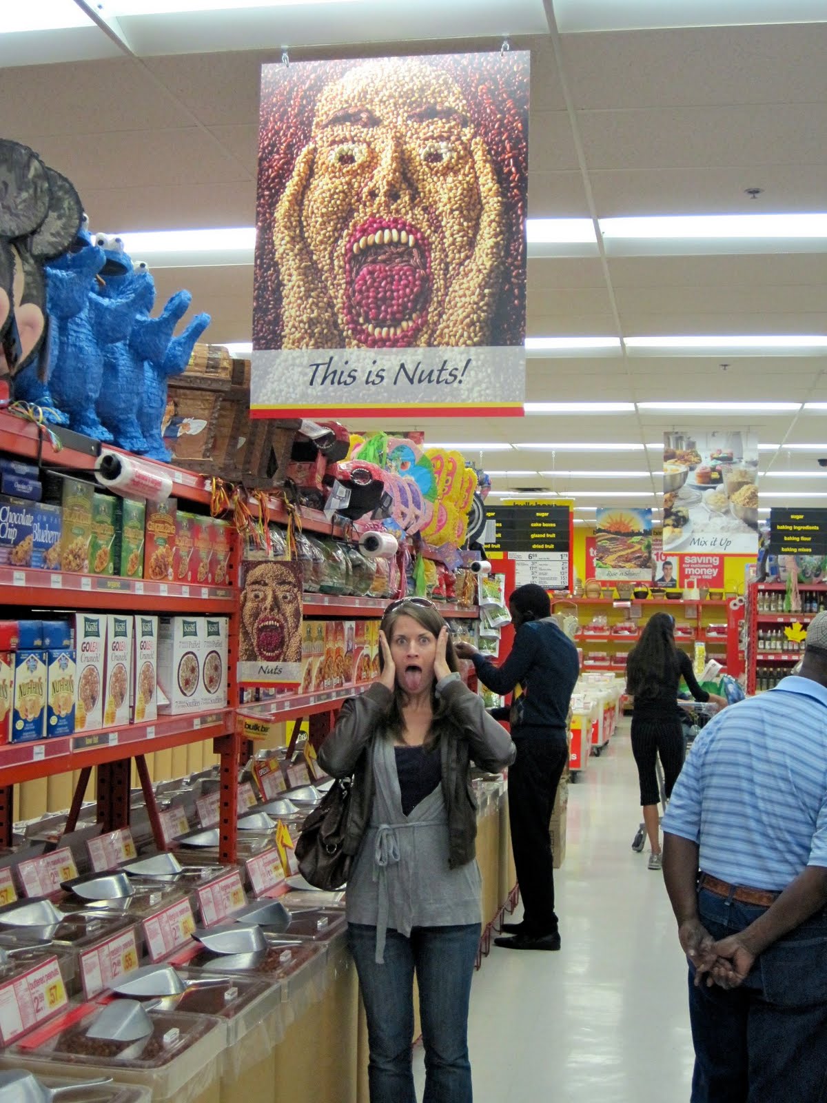 The Irish Diet July 2010