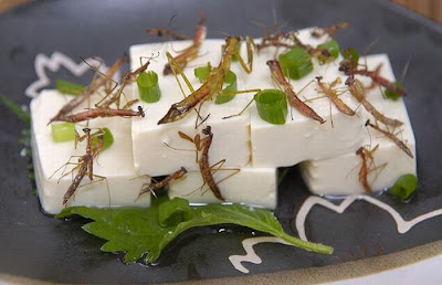 Japanese Weird Food - Insect Sushi Seen On www.coolpicturegallery.us Japanese Weird Food - Insect Sushi Seen On www.coolpicturegallery.us