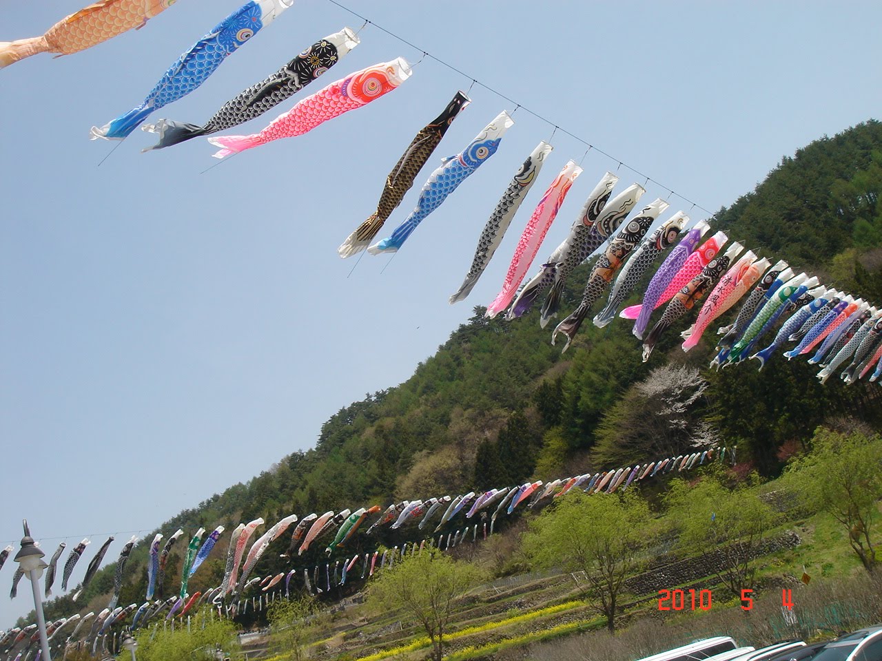 Japan Africa Network Children's Day Streamers Koinobori in Kiyosato