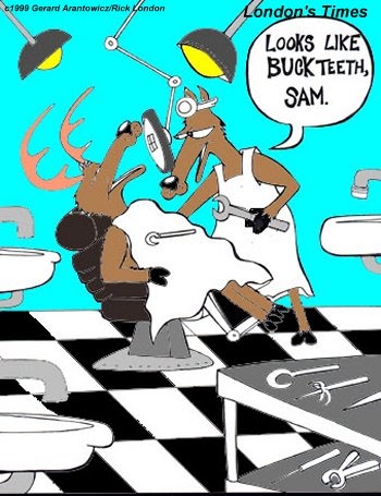 buck cartoon teeth dentistry animal offbeat londons cartoons times