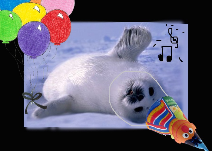 Baby Seal Bashing