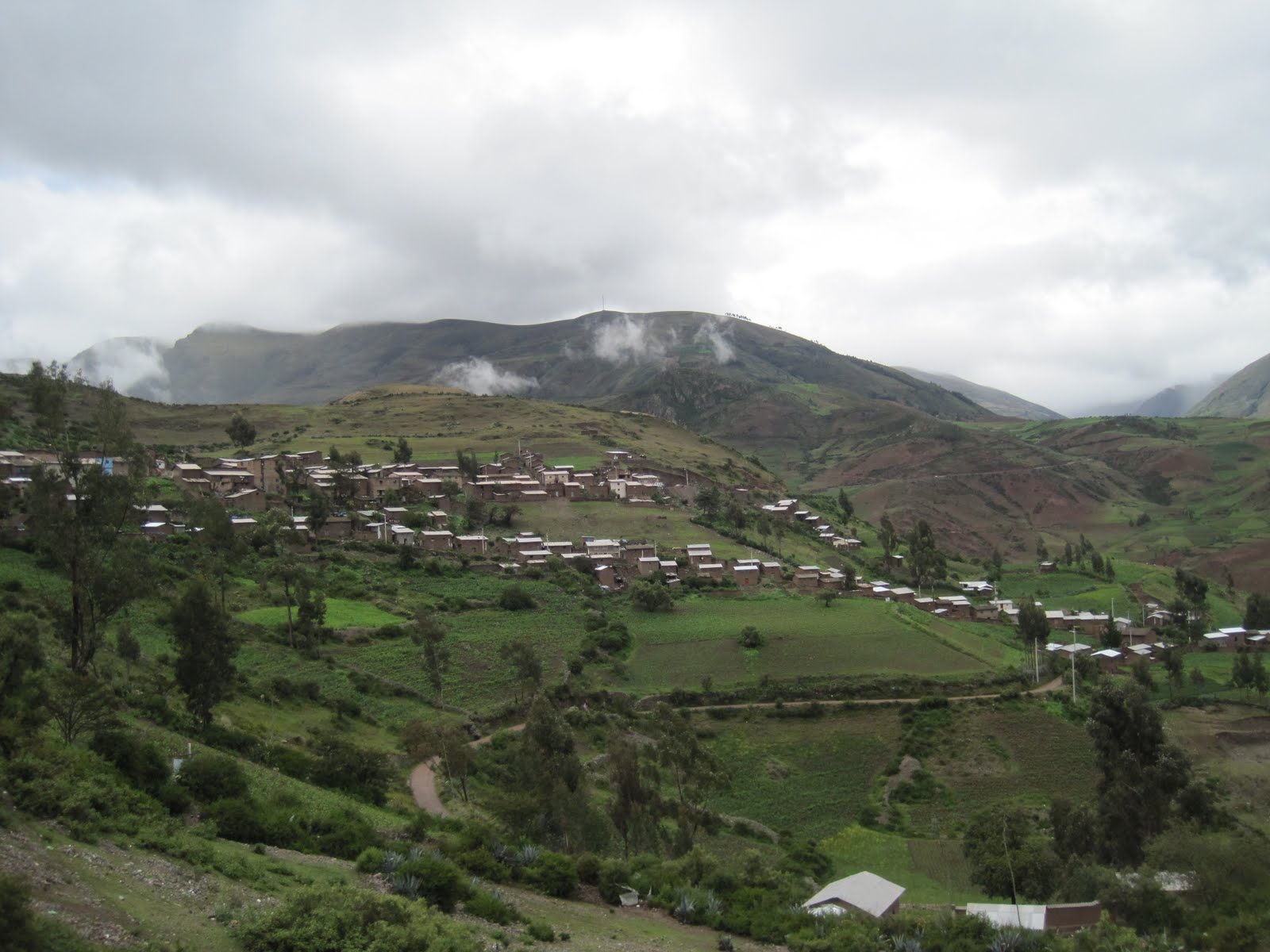 El Gallo Pitagórico Tambo (Provincia de La Mar, Region de Ayacucho)