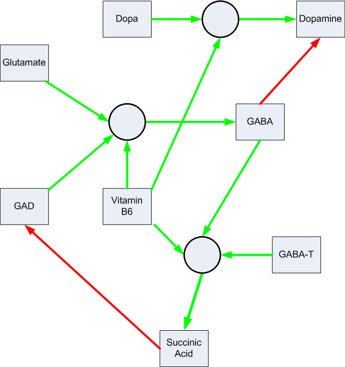 Glutamic Acid Production