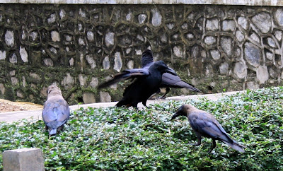 Veermata Jijabai Udyan