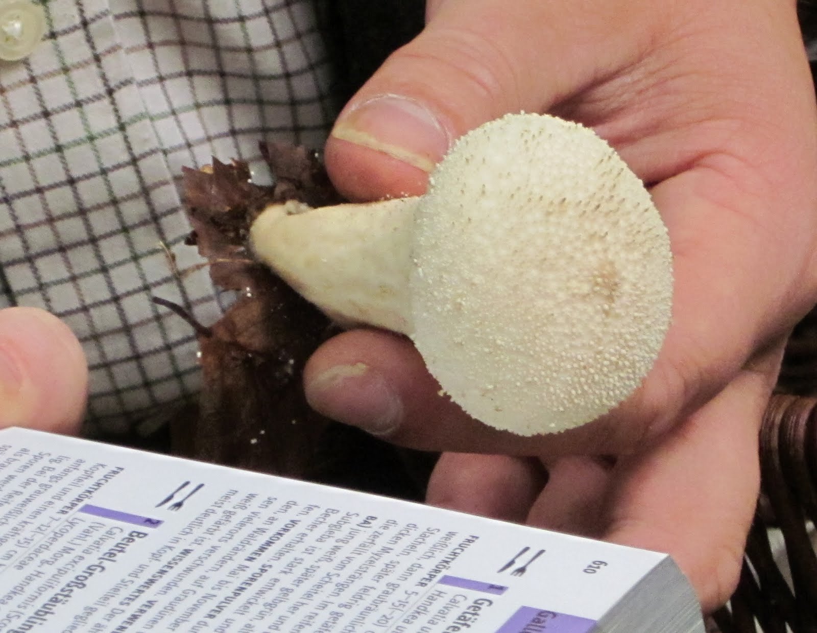 Chello In Einmaligen Gefilden 2010