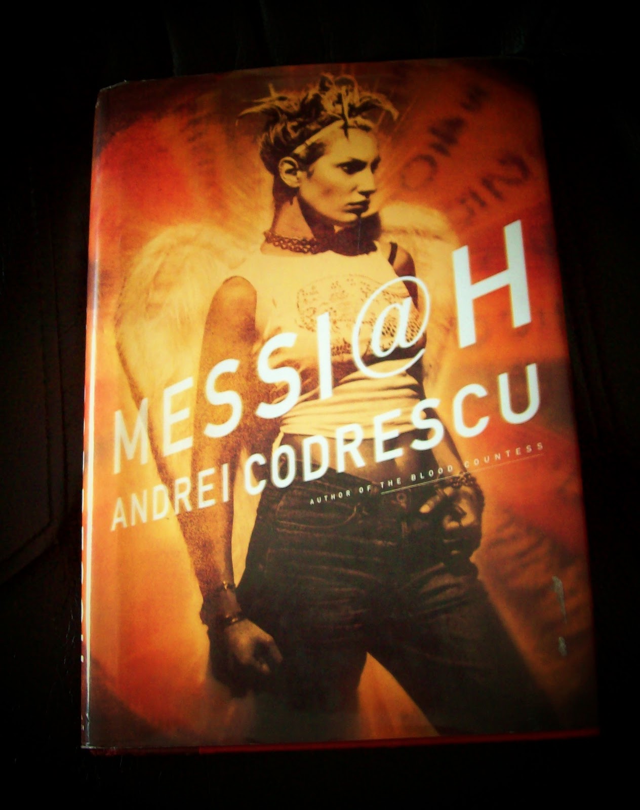 Out of the dust essay