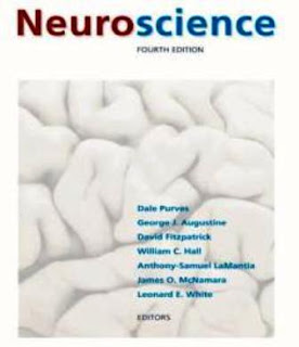 Neuroscience university guides Neuroscience university guides