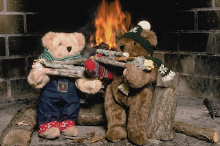 this is the way to keep warm while hibernating teddy bear stoking the fire and keeping warm