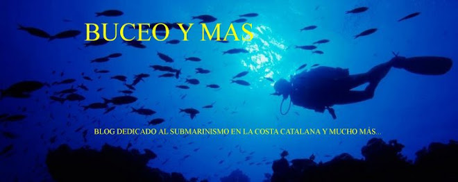 BUCEO Y MÁS