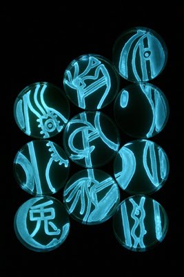 How Bioluminescence Works