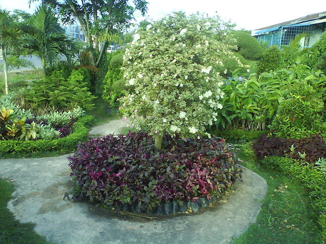 Garden decor