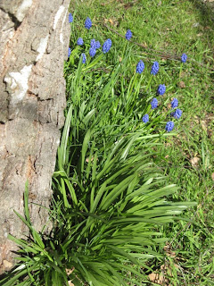 busy gardening