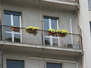 Milan's addiction to sedum,pelargonium,Gardennes Home