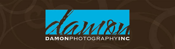 Damon Photography Inc