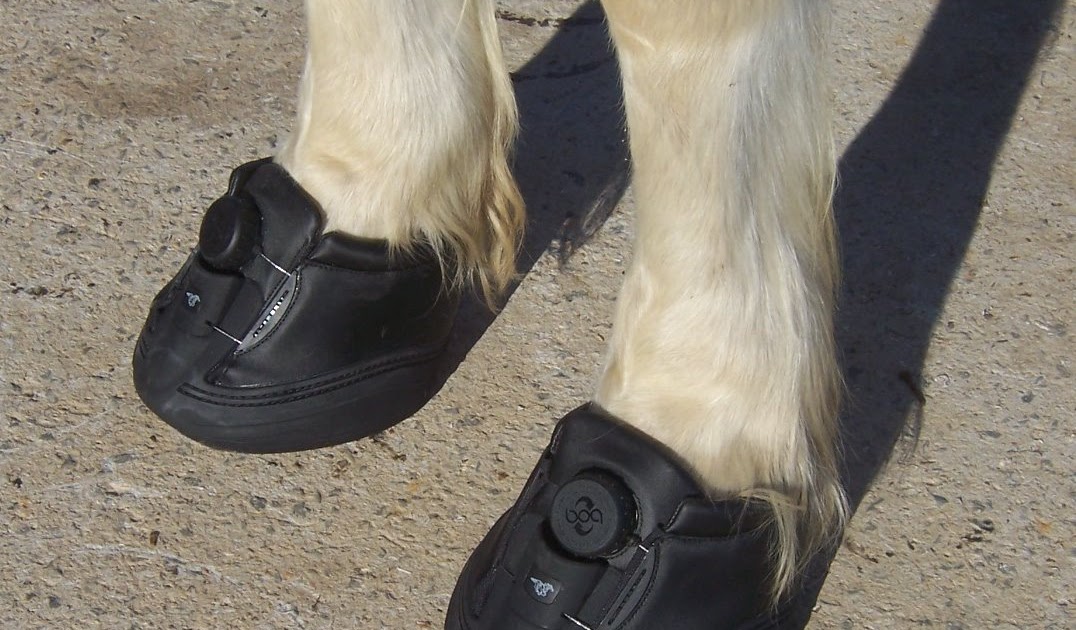 The Princess's Carriage Horse’s wearing Nike?