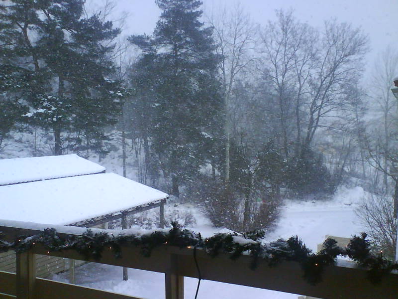 [image-upload-72-775771.jpg]