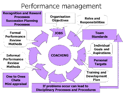 management function After an organization's structural design is in place, it needs people with the right skills, knowledge, and abilities to fill in that structure people are an. management function After an organization's structural design is in place, it needs people with the right skills, knowledge, and abilities to fill in that structure people are an.